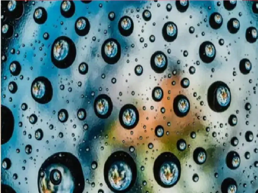 مدار الساعة,أخبار الصحة والأسرة