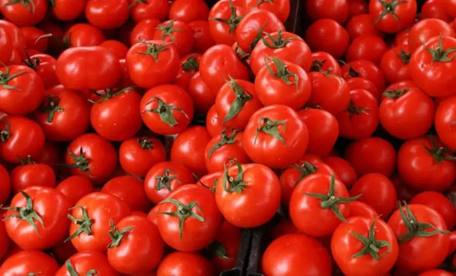 مدار الساعة,أخبار عربية ودولية