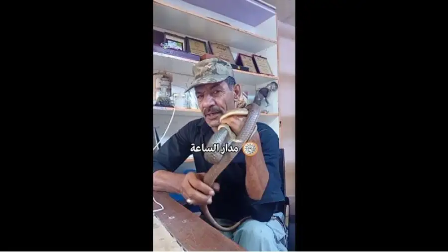 مدار الساعة,Video,فيديو,أخبار الأردن,اخبار الاردن,الحالة الجوية