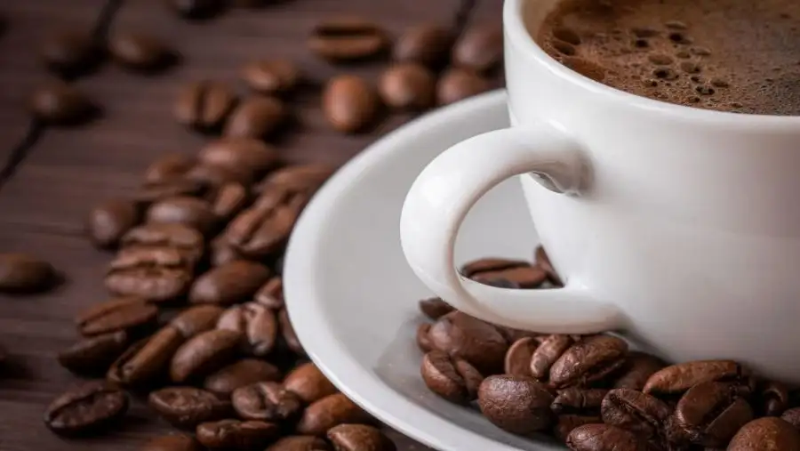 مدار الساعة,أخبار اقتصادية,غرفة تجارة الأردن