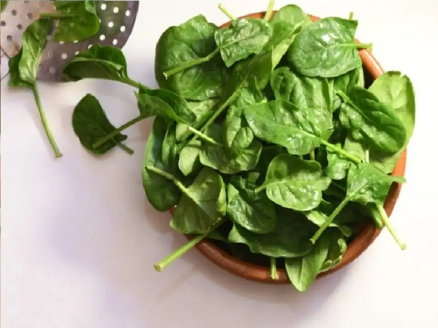 مدار الساعة,أخبار الصحة والأسرة