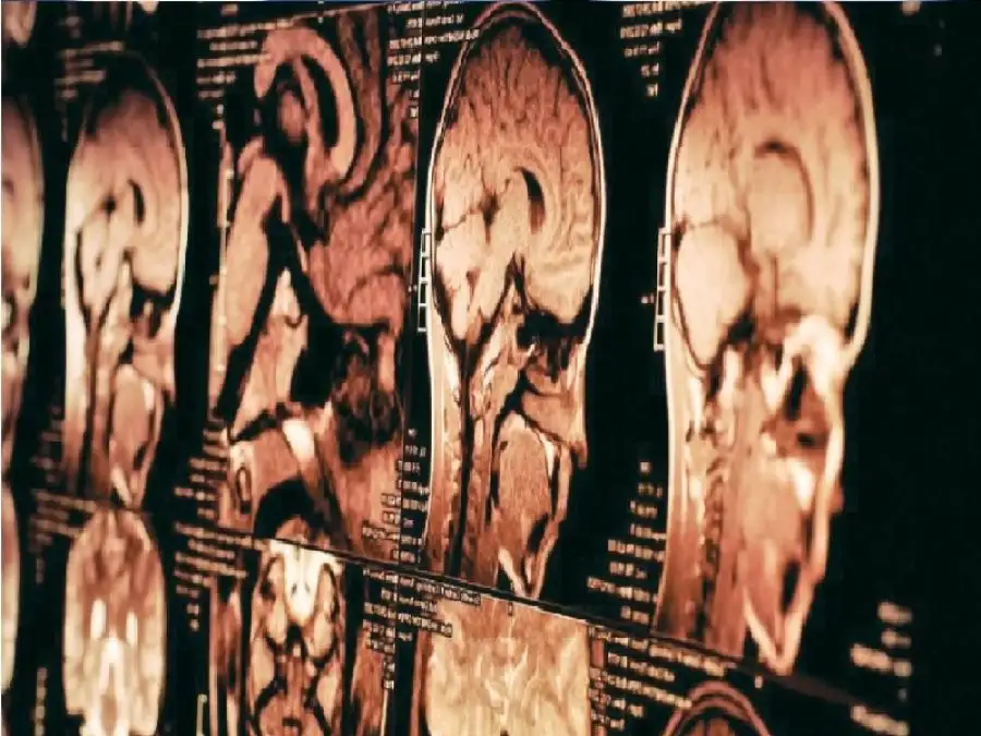 مدار الساعة,أخبار الصحة والأسرة