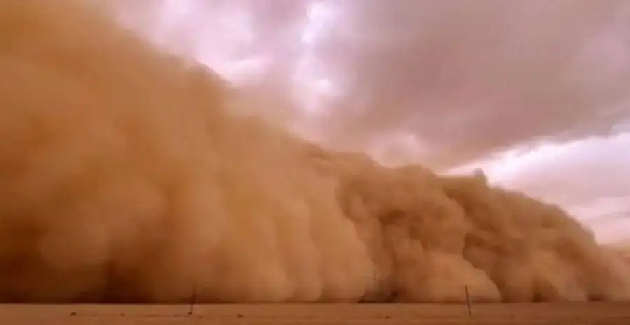 مدار الساعة,أخبار الصحة والأسرة