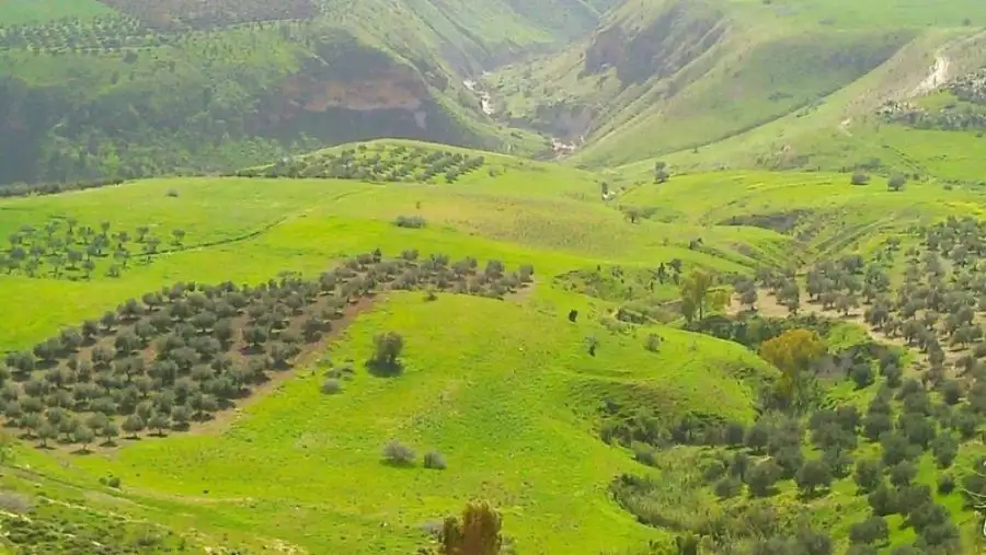 مدار الساعة,الطقس في الأردن اليوم,طقس الأردن,طقس العرب,طقس العرب الاردن,الأرصاد الجوية,درجات الحرارة,البحر الميت