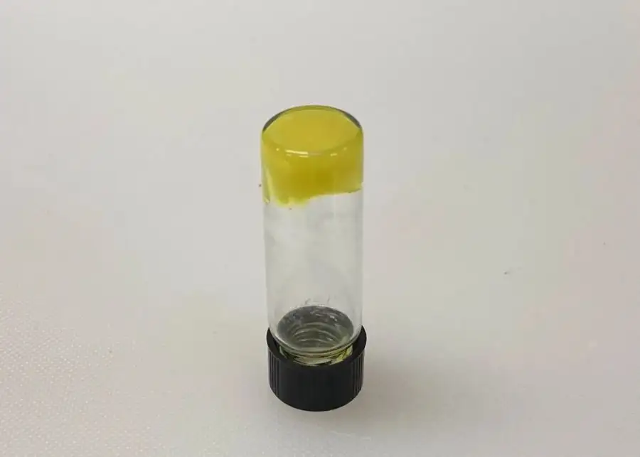 مدار الساعة,أخبار خفيفة ومنوعة