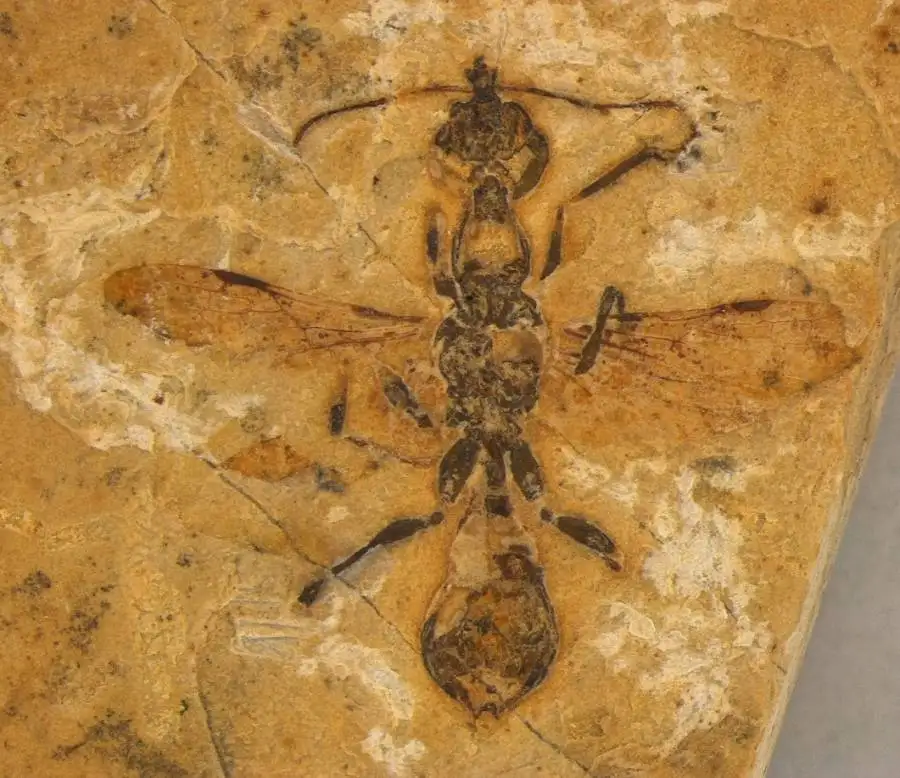 مدار الساعة,أخبار خفيفة ومنوعة