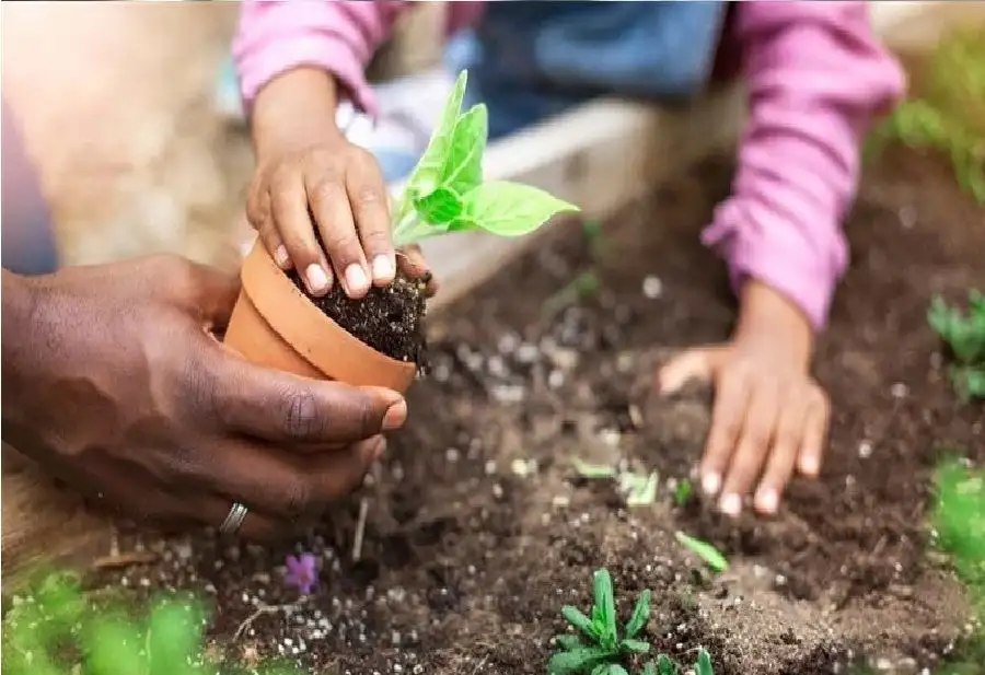 مدار الساعة,أخبار الصحة والأسرة