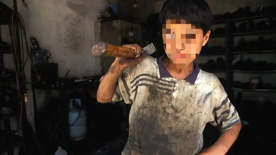 مدار الساعة,أخبار اقتصادية,وزارة العمل