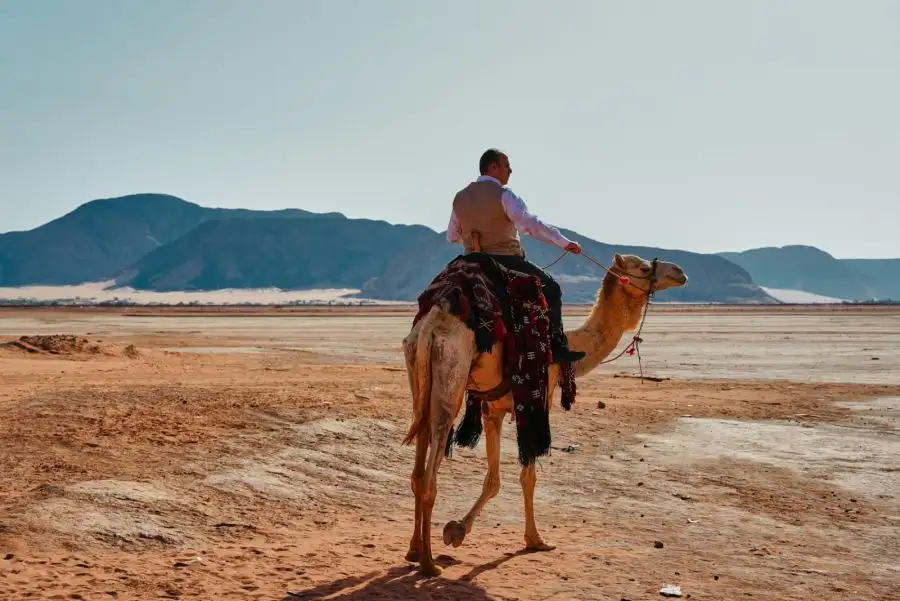 مدار الساعة,مناسبات أردنية,المركز الوطني للبحوث الزراعية,الجامعة الأردنية,جامعة العلوم والتكنولوجيا,جامعة جرش