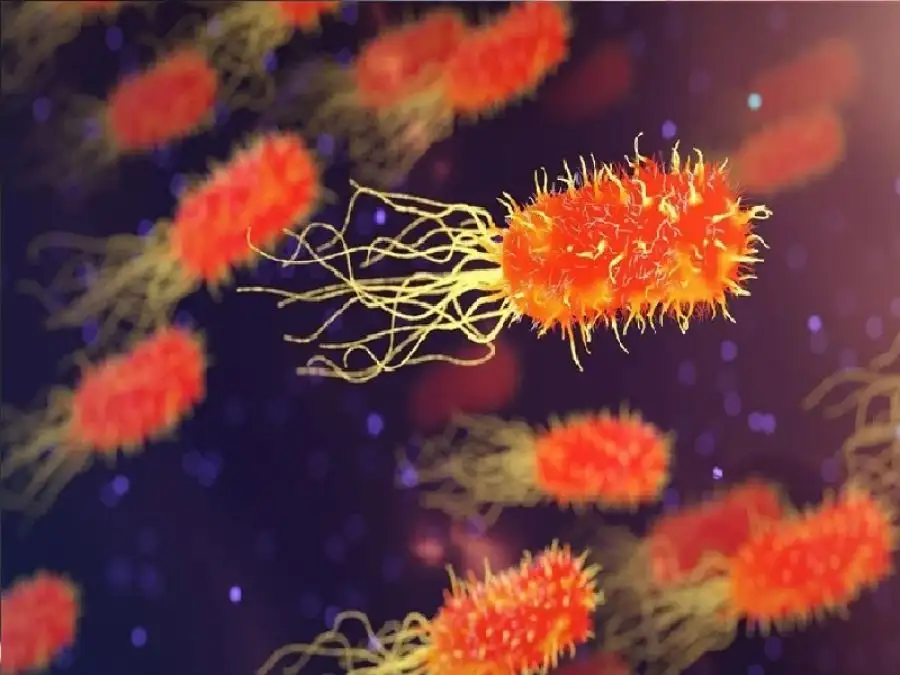 مدار الساعة,أخبار الصحة والأسرة