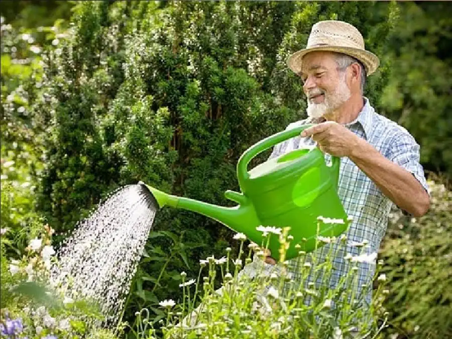 مدار الساعة,أخبار الصحة والأسرة