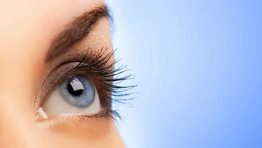 مدار الساعة,أخبار خفيفة ومنوعة