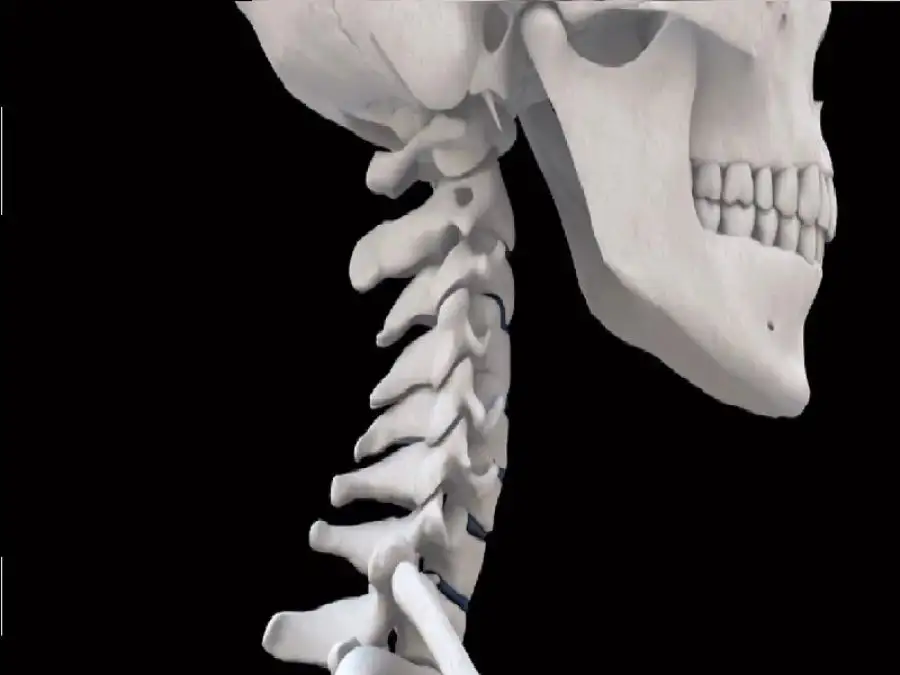 مدار الساعة,أخبار الصحة والأسرة