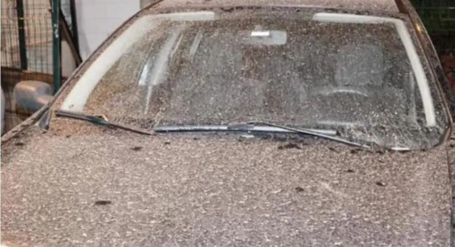 مدار الساعة,أخبار الأردن,اخبار الاردن,درجات الحرارة العظمى والصغرى,درجات الحرارة,الأرصاد الجوية,البحر الميت