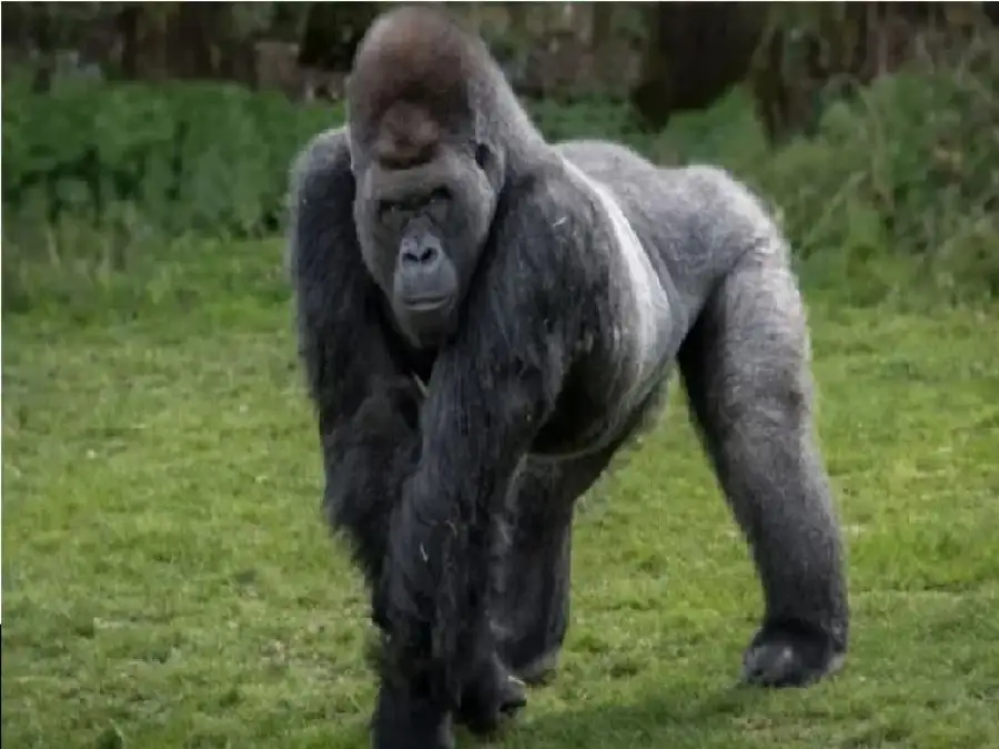 مدار الساعة,أخبار الصحة والأسرة,مواقع التواصل الاجتماعي