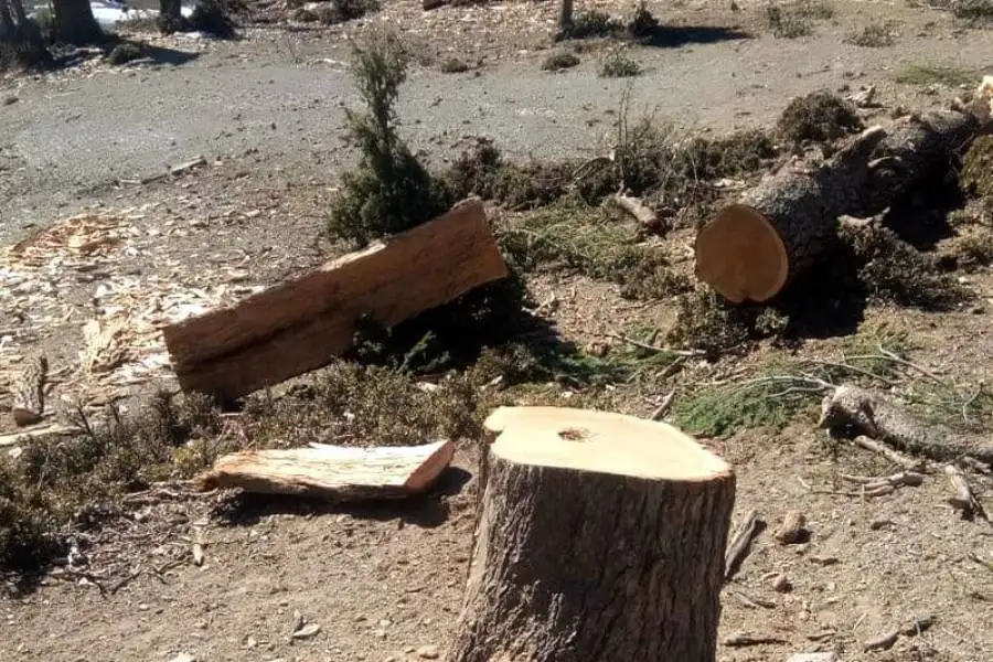 مدار الساعة,أخبار الأردن,اخبار الاردن,الإدارة الملكية لحماية البيئة