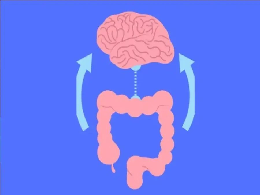 مدار الساعة,أخبار الصحة والأسرة