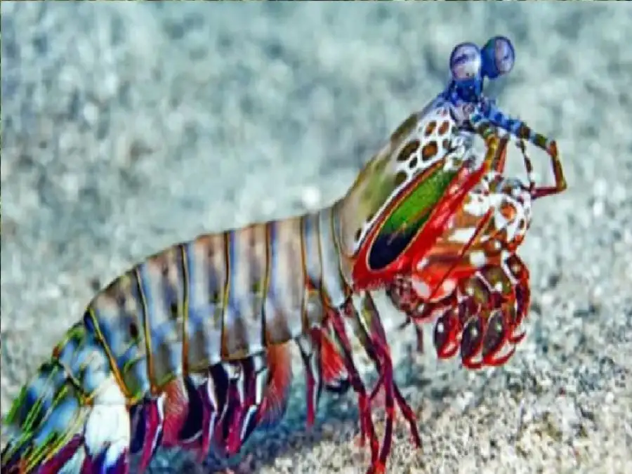 مدار الساعة,أخبار الصحة والأسرة