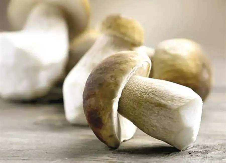 مدار الساعة,أخبار خفيفة ومنوعة,أخبار الصحة والأسرة