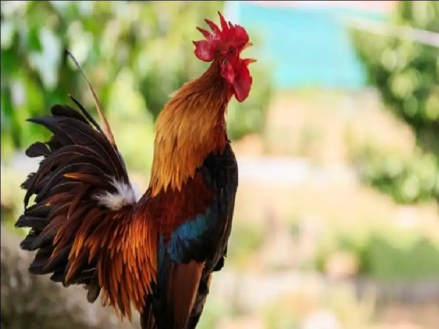 مدار الساعة,أخبار الصحة والأسرة