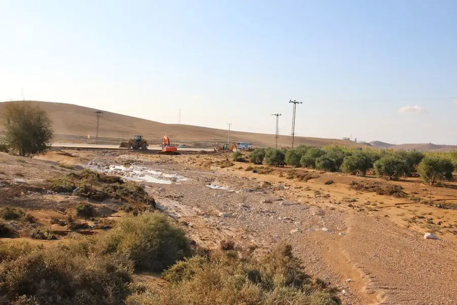 مدار الساعة,أخبار الأردن,اخبار الاردن,وزير الإدارة المحلية,وليد المصري