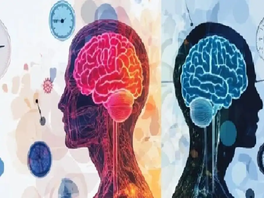 مدار الساعة,أخبار الصحة والأسرة