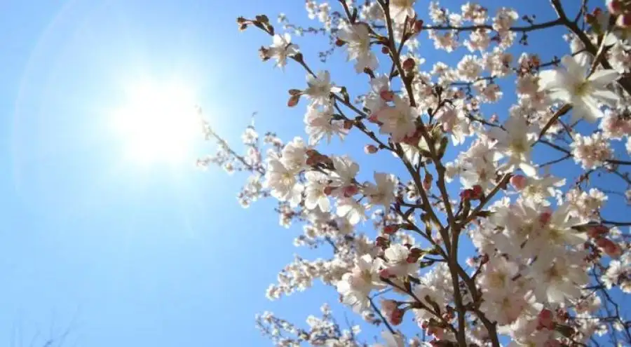 مدار الساعة,الطقس في الأردن اليوم,طقس الأردن,طقس العرب,طقس العرب الاردن,الأرصاد الجوية,درجات الحرارة,البحر الميت