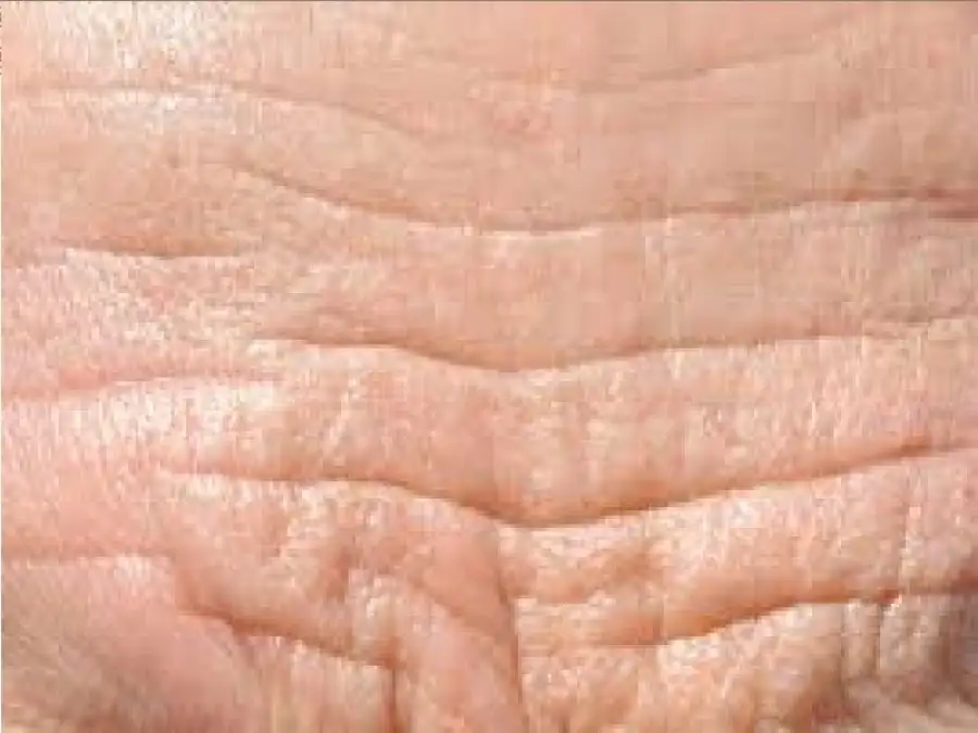 مدار الساعة,أخبار الصحة والأسرة