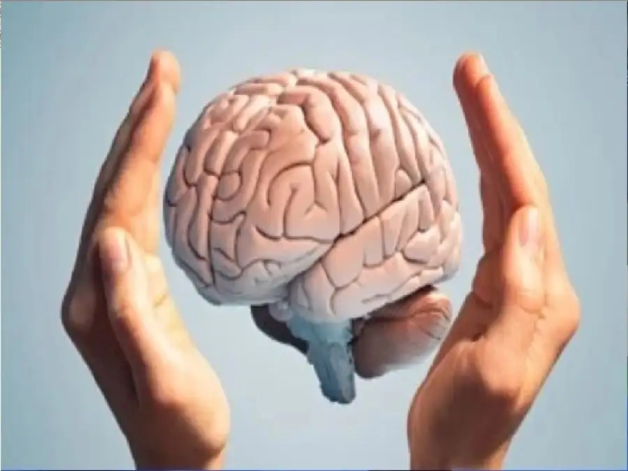 مدار الساعة,أخبار الصحة والأسرة