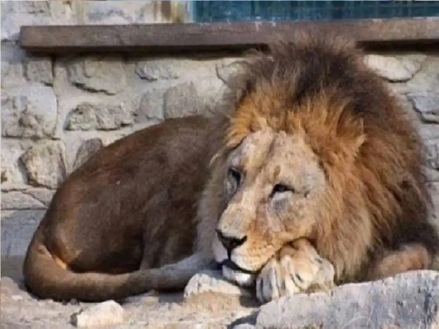 مدار الساعة,أخبار الصحة والأسرة