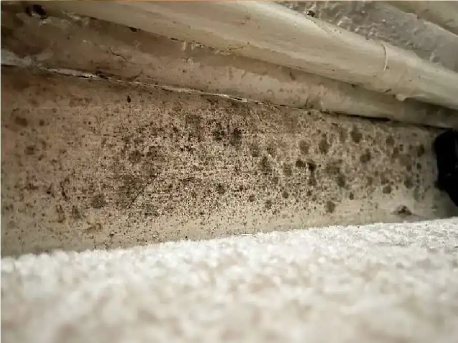 مدار الساعة,أخبار الصحة والأسرة,درجات الحرارة