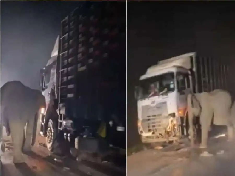 مدار الساعة,أخبار الصحة والأسرة