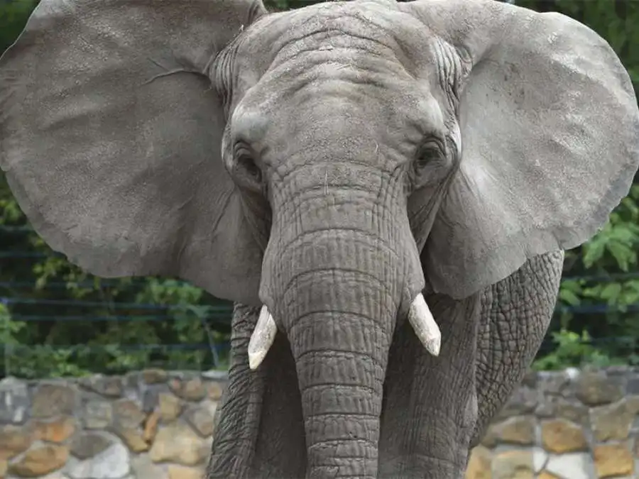 مدار الساعة,Video,فيديو,أخبار خفيفة ومنوعة,مواقع التواصل الاجتماعي