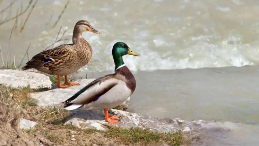 مدار الساعة,أخبار خفيفة ومنوعة