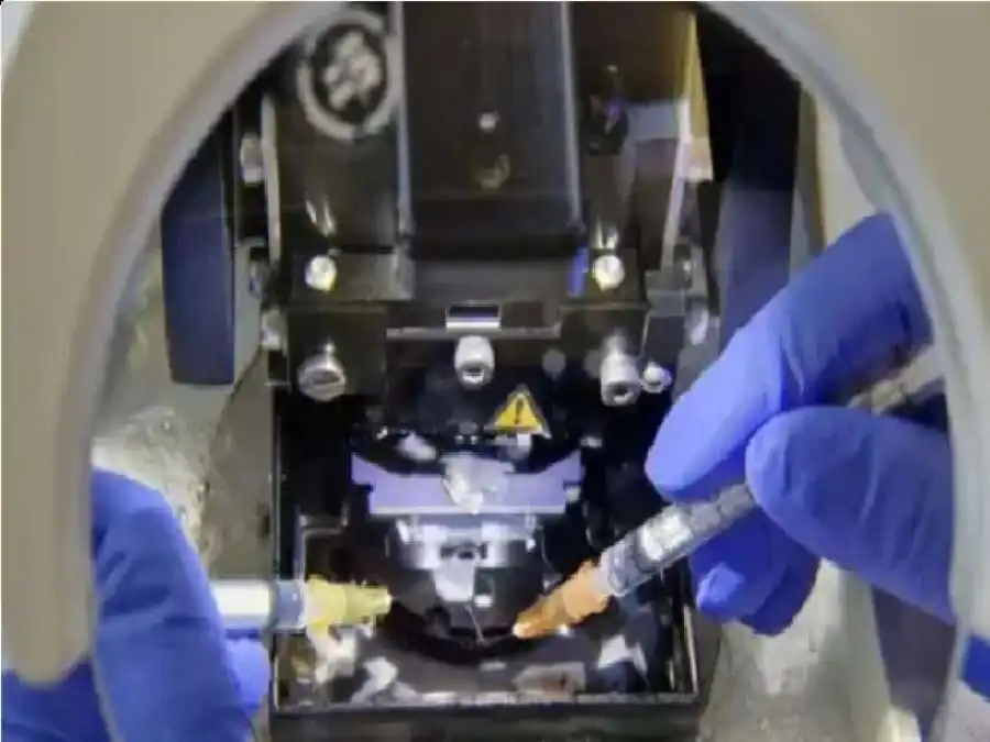 مدار الساعة,أخبار الصحة والأسرة