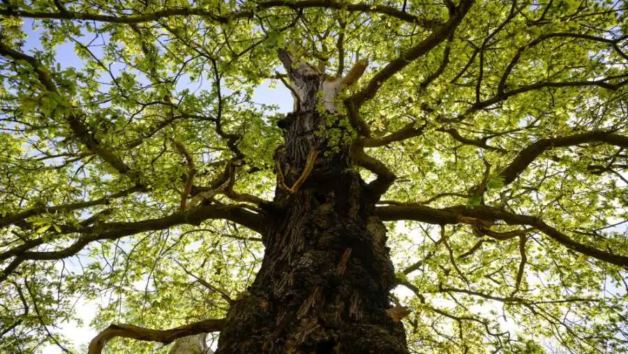 مدار الساعة,أخبار الأردن,اخبار الاردن