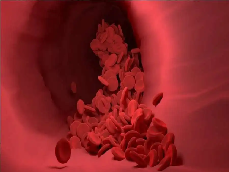 مدار الساعة,أخبار الصحة والأسرة,الذكاء الاصطناعي