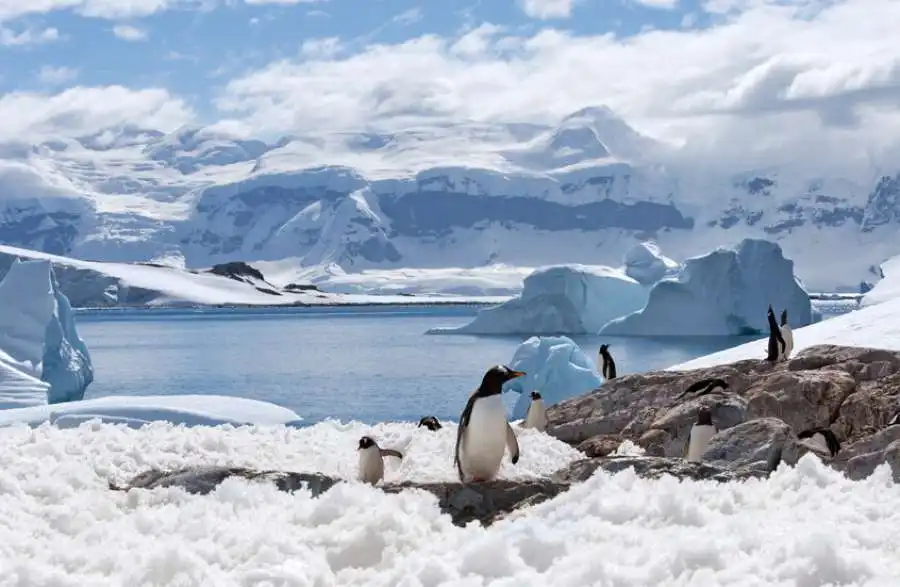 مدار الساعة,أخبار خفيفة ومنوعة,أخبار الصحة والأسرة
