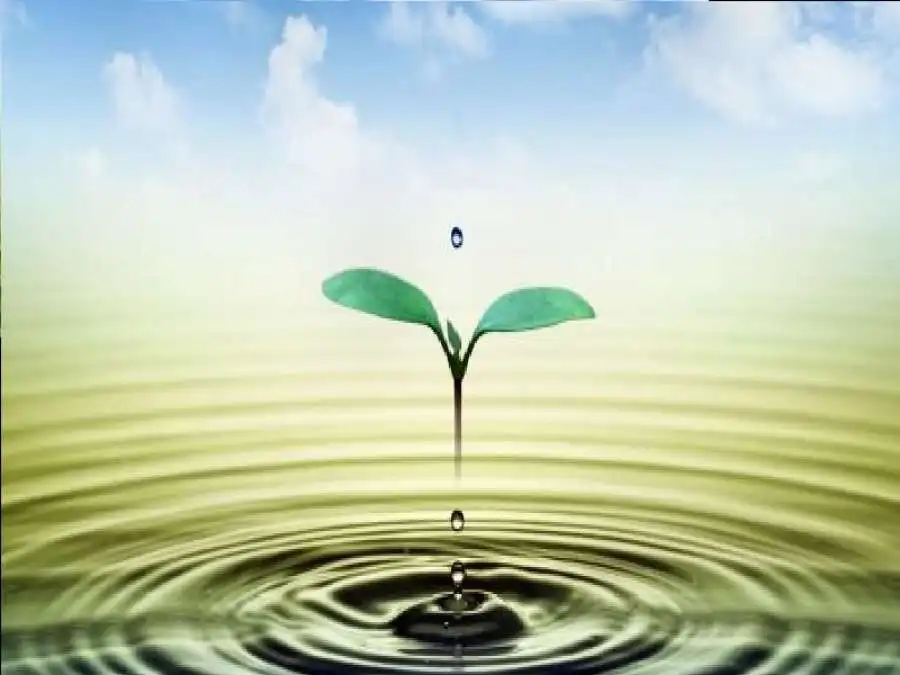 مدار الساعة,شؤون دينية