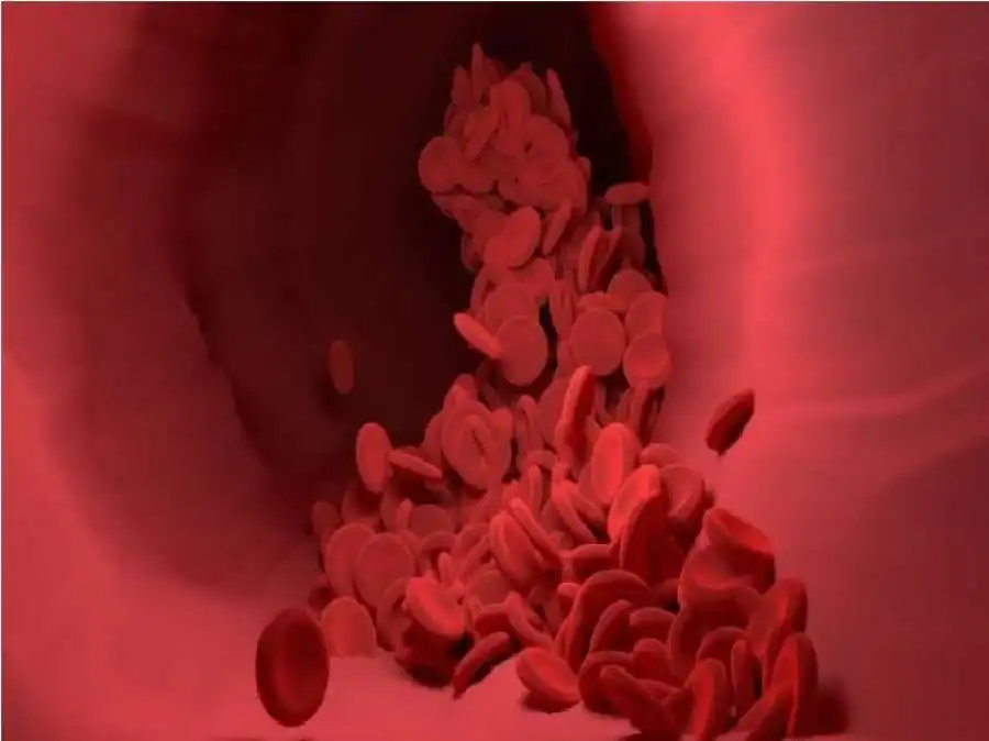 مدار الساعة,أخبار الصحة والأسرة