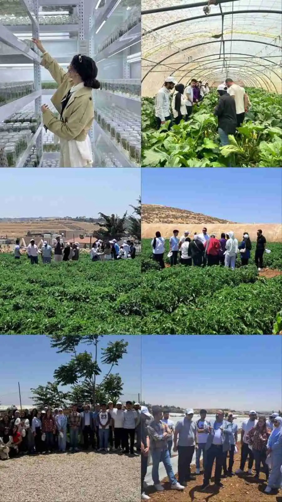 مدار الساعة,أخبار الجامعات الأردنية