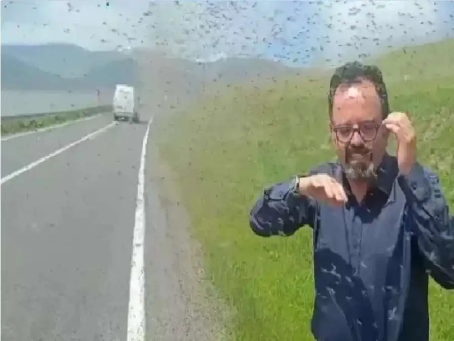 مدار الساعة,أخبار الصحة والأسرة