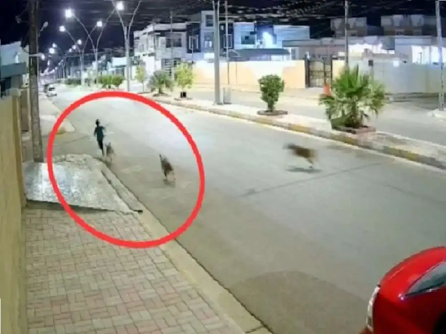 مدار الساعة,مواقع التواصل الاجتماعي