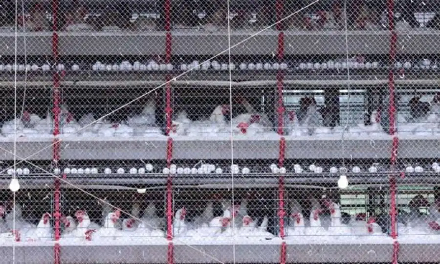 مدار الساعة,أخبار الأردن,اخبار الاردن,وزارة الزراعة