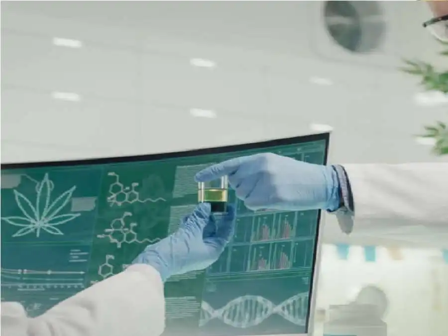 مدار الساعة,أخبار الصحة والأسرة