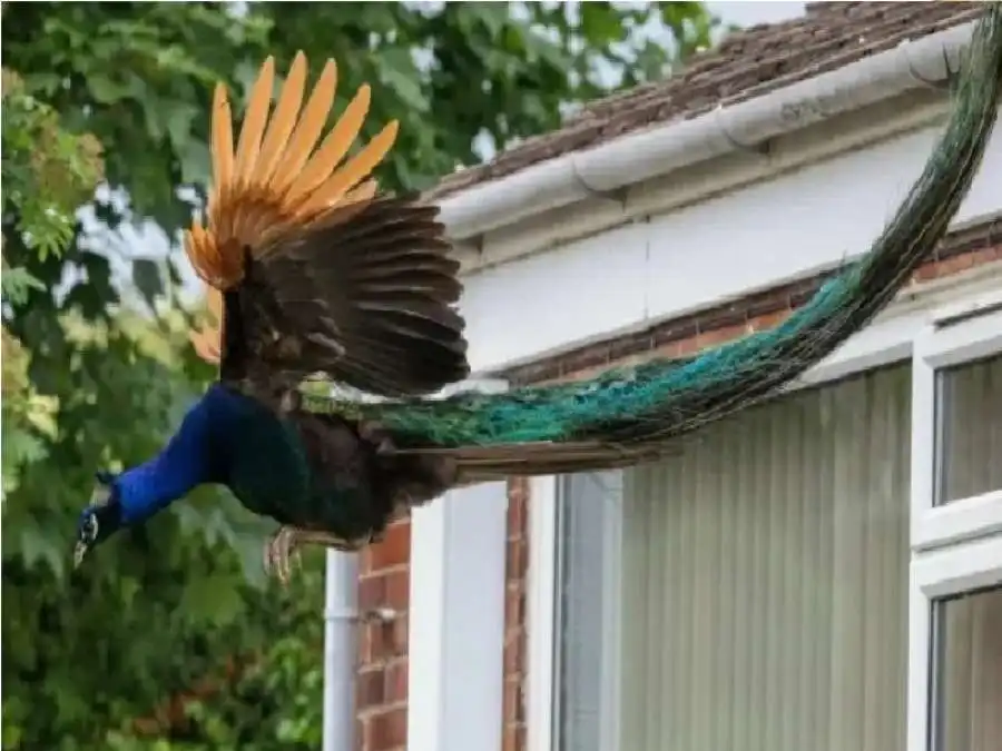 مدار الساعة,أخبار الصحة والأسرة