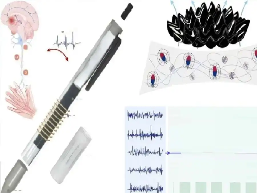 مدار الساعة,أخبار الصحة والأسرة