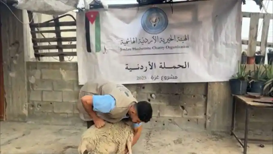 مدار الساعة,أخبار الأردن,اخبار الاردن,الهيئة الخيرية الهاشمية,الهيئة الخيرية الأردنية الهاشمية,المملكة الأردنية الهاشمية,قطاع غزة