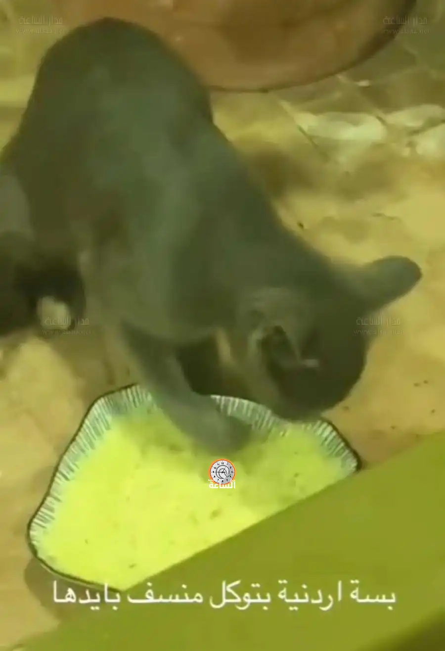 مدار الساعة,Video,فيديو,أخبار الأردن,اخبار الاردن