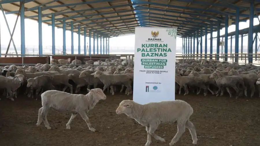 مدار الساعة,أخبار الأردن,اخبار الاردن,الهيئة الخيرية الأردنية الهاشمية,إدارة الكوارث